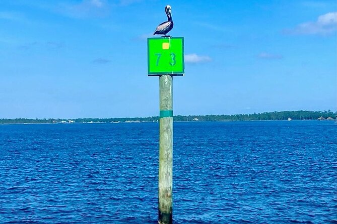Orange Beach Dolphin Eco Boat Tour - Weather can change the character of the trip