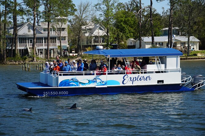 Orange Beach Dolphin Eco Boat Tour - A 90-minute route built for wildlife