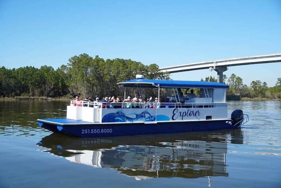 Orange Beach: Dolphin Eco Sunset Cruise aboard The Explorer - The Explorer heads into Orange Beach’s waterways