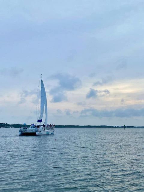 Orange Beach: Dolphin & Sailing Cruise Aboard 52' Catamaran - The 90-Minute Cruise, Step by Step