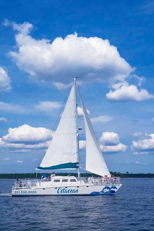 Orange Beach: Dolphin & Sailing Cruise Aboard 52' Catamaran - Is $55 a Fair Price?