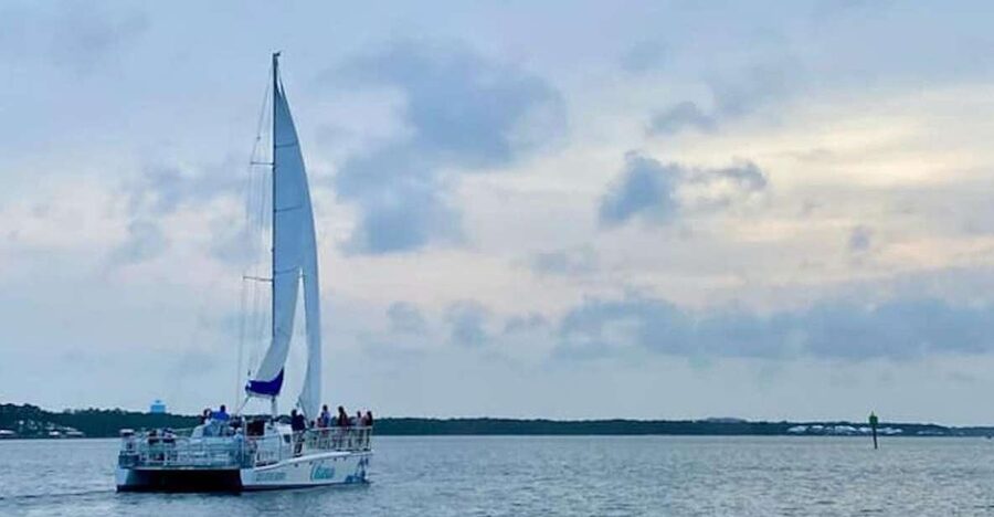Orange Beach: Dolphin & Sailing Cruise Aboard 52' Catamaran - Who Will Enjoy This Cruise Most?