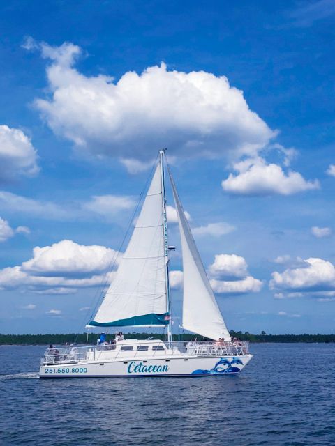 Orange Beach: Dolphin & Sailing Cruise Aboard 52' Catamaran - Why the Back Bays Make Sense