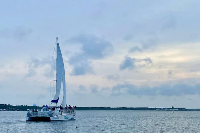 Orange Beach Dolphin Sailing Cruise aboard Catamaran - Key Points Before You Book