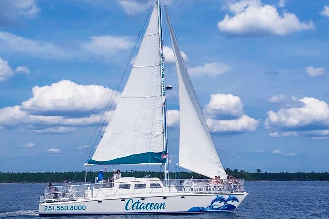Orange Beach Dolphin Sailing Cruise aboard Catamaran - Boarding The Cetacean at Orange Beach Wharf