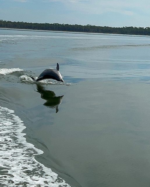 Orange Beach: Dolphin-Watching Eco-Boat Tour - What makes this Orange Beach cruise worth considering