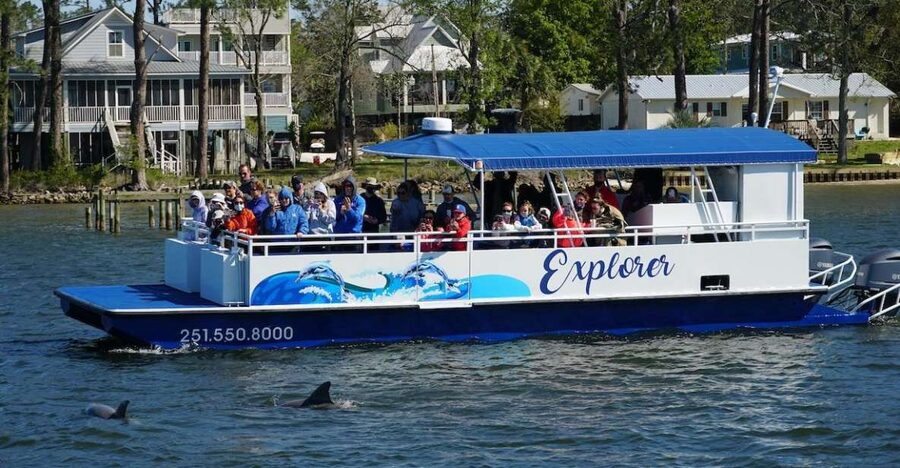 Orange Beach: Dolphin-Watching Eco-Boat Tour - Setting out from the marina in Orange Beach