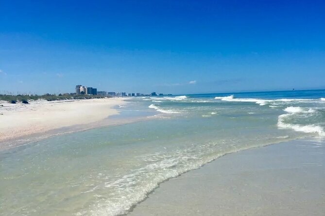 Orlando: Clearwater Beach, Dolphin Cruise Small Group Max 14 Tour - Starting from five convenient Orlando pickup points