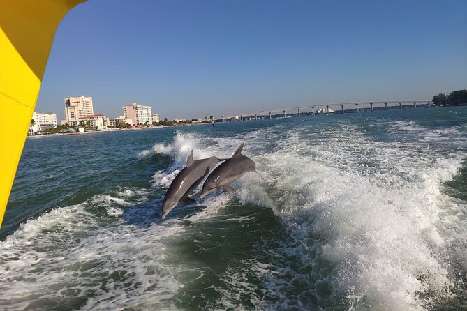 Orlando: Clearwater Beach, Dolphin Cruise Small Group Max 14 Tour - Five hours to shape your own Clearwater Beach day