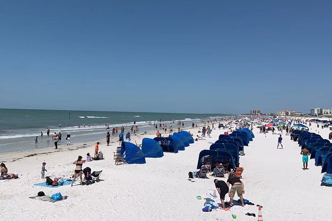 Orlando: Clearwater Beach, Dolphin Cruise Small Group Max 14 Tour - The optional speedboat dolphin watch