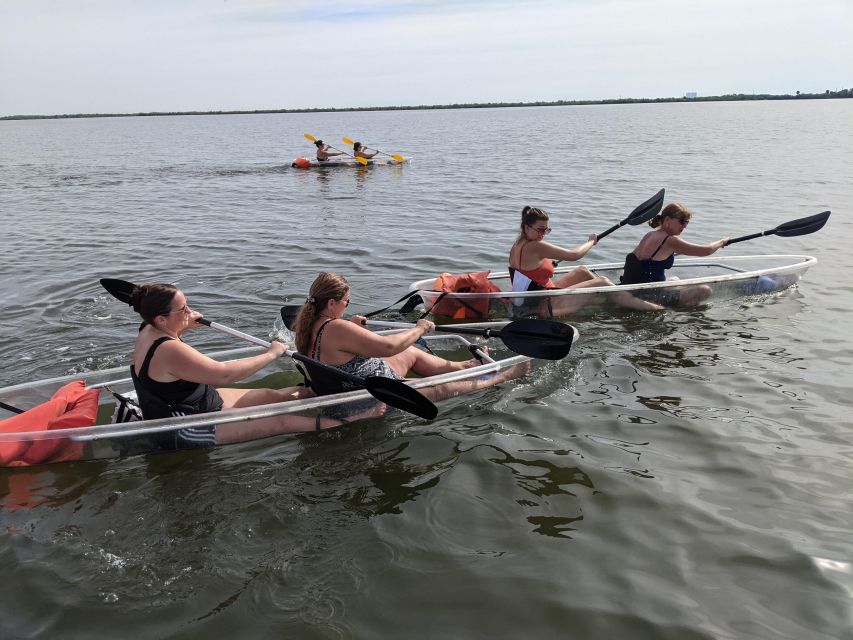 Orlando: Dolphin Clear Kayak or Paddle Board Adventure - Key points to know before you book