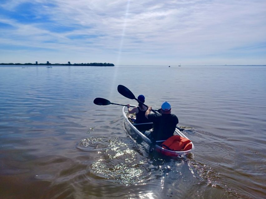 Orlando: Dolphin Clear Kayak or Paddle Board Adventure - Families, couples, groups, and dogs