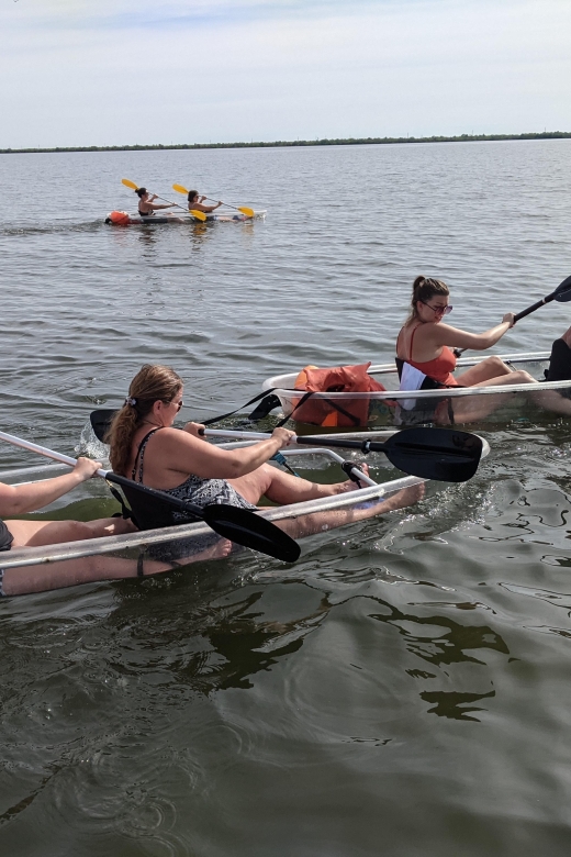 Orlando: Dolphin Clear Kayak or Paddle Board Adventure - What the $75 price covers