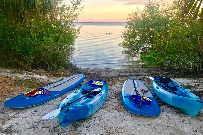Paddle Board or Kayak Eco Dolphin Manatee Tour - Starting at 9am on Merritt Island