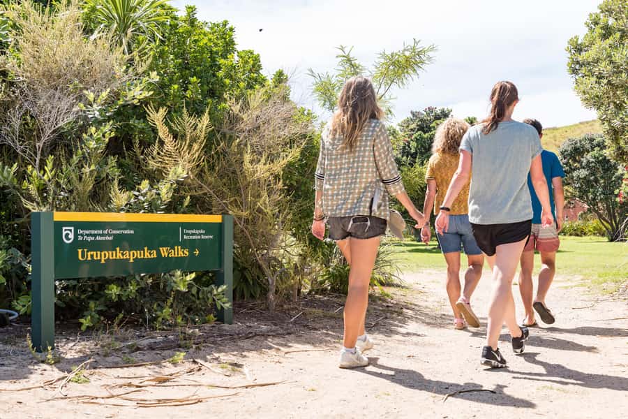 Paihia: Bay of Islands Dolphin Eco Cruise & Island Stopover - Booking Advice for a Smoother Day