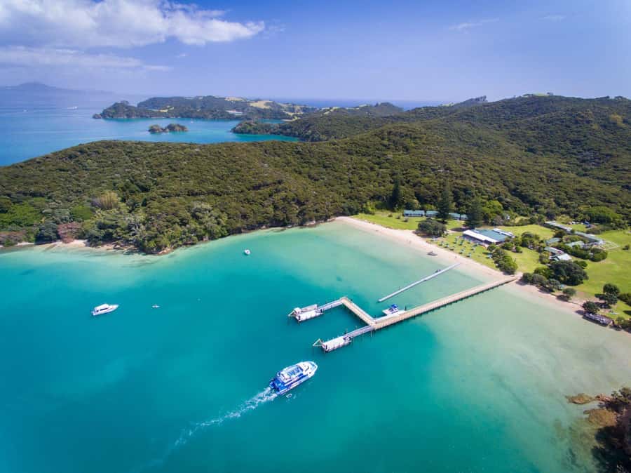 Paihia/Russell: Hole in the Rock, Dolphins & Island Cruise - Key points before you book