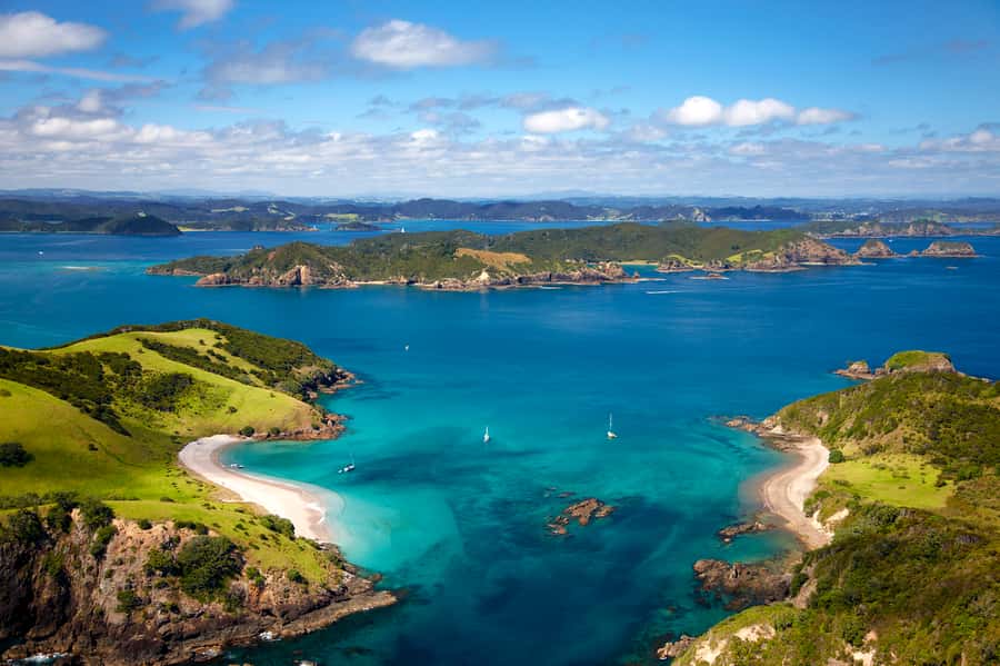 Paihia/Russell: Hole in the Rock, Dolphins & Island Cruise - Practical tips for a better day on the water