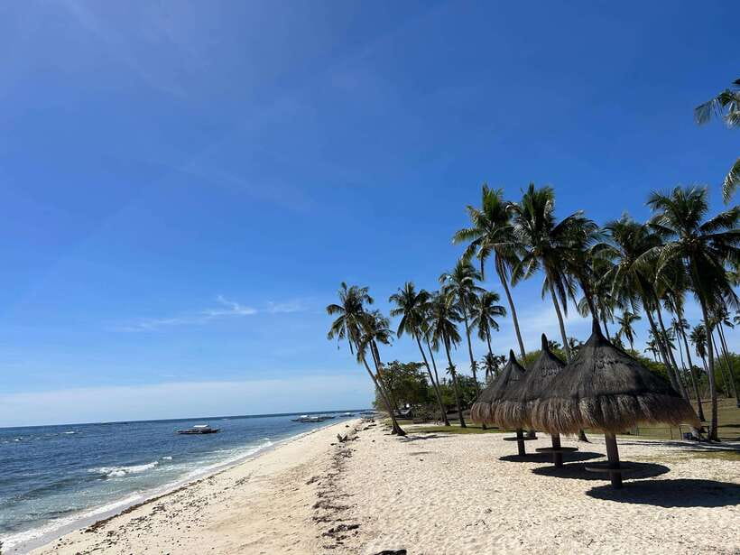 Pamilacan island: Dolphins, snorkel, lunch and walking tour - The Pamilacan details worth knowing