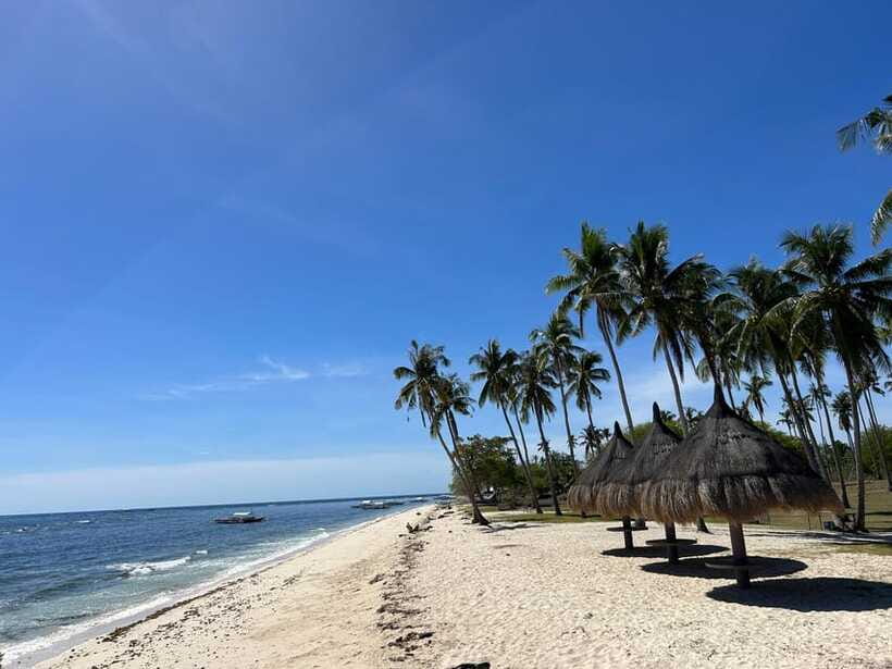 Pamilacan island: Dolphins, snorkel, lunch and walking tour - What the $139 price includes