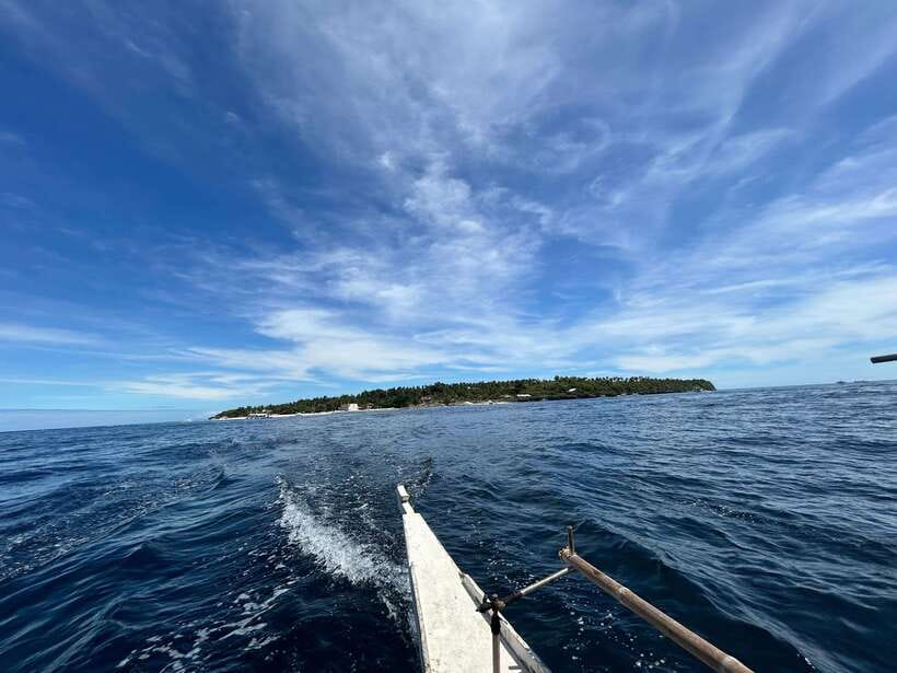 Pamilacan island: Dolphins, snorkel, lunch and walking tour - Dolphin watching near Pamilacan