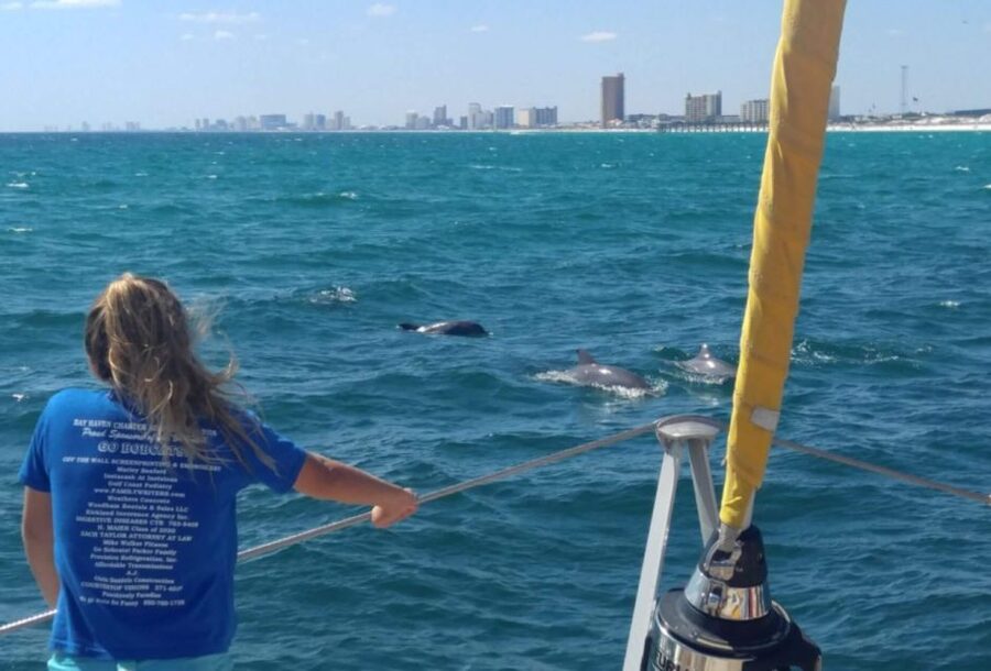 Panama City Beach: Dolphin Sightseeing Trip by Catamaran - Watching bottlenose dolphins in the wild