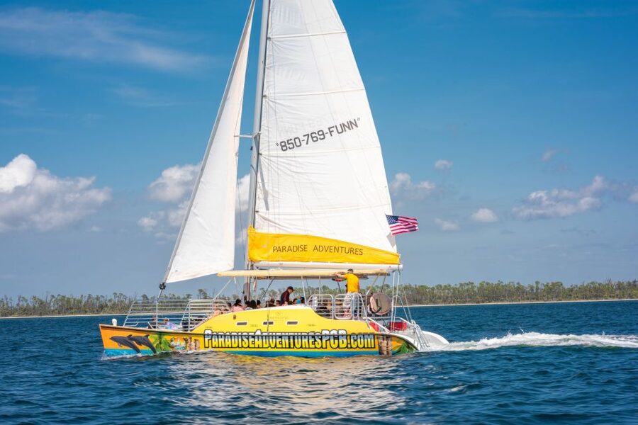 Panama City Beach: Dolphin Sightseeing Trip by Catamaran - Music, drinks, and the onboard mood