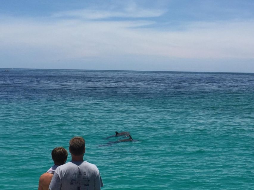 Panama City Beach: Dolphin Sightseeing Trip by Catamaran - Practical tips for a smoother trip