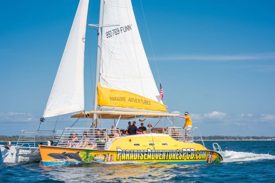 Panama City Beach: Dolphin Sightseeing Trip by Catamaran - Meeting at Bluegreen’s Bayside Resort and Spa