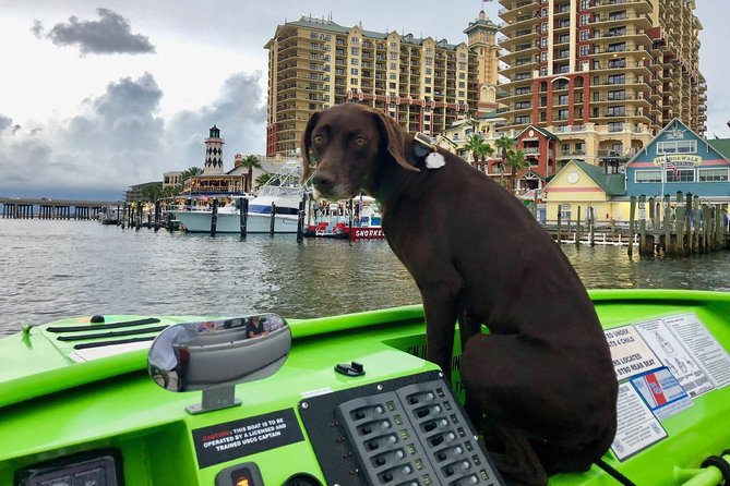 Panama City Beach's - Dolphin Sunset Cruise - A fast boat with skilled captains