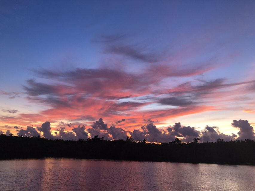 Panama City: Sunset Dolphin Cruise in St. Andrews Bay - Looking for Dolphins in Their Natural Habitat