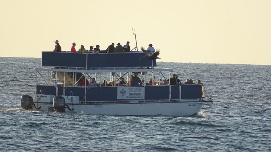 Panama City: Sunset Dolphin Cruise in St. Andrews Bay - Sunset Over Panama City Beach