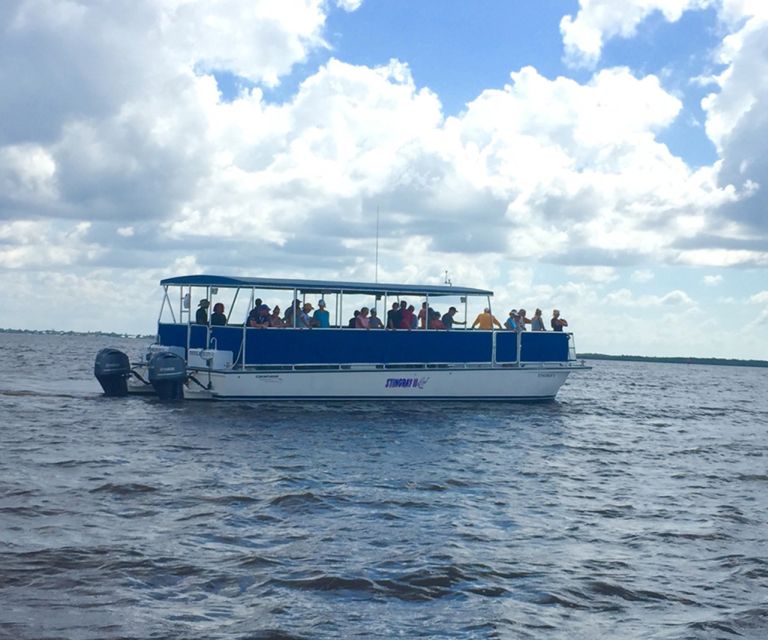 Panama City: Sunset Dolphin Cruise in St. Andrews Bay - Who Will Enjoy This Cruise Most?
