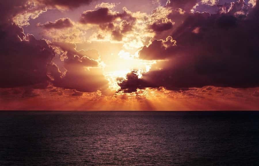 Panama City: Sunset Tour with Dolphin Watching - Practical booking advice for the best evening