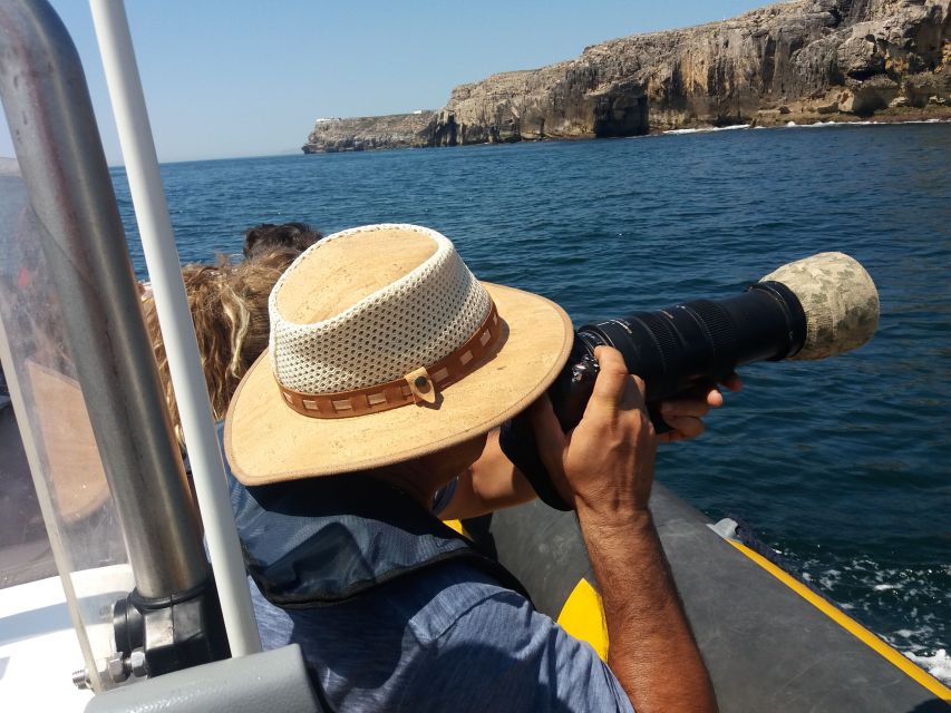 Peniche: Dolphin Route Boat Trip - Following the Peniche coast by boat