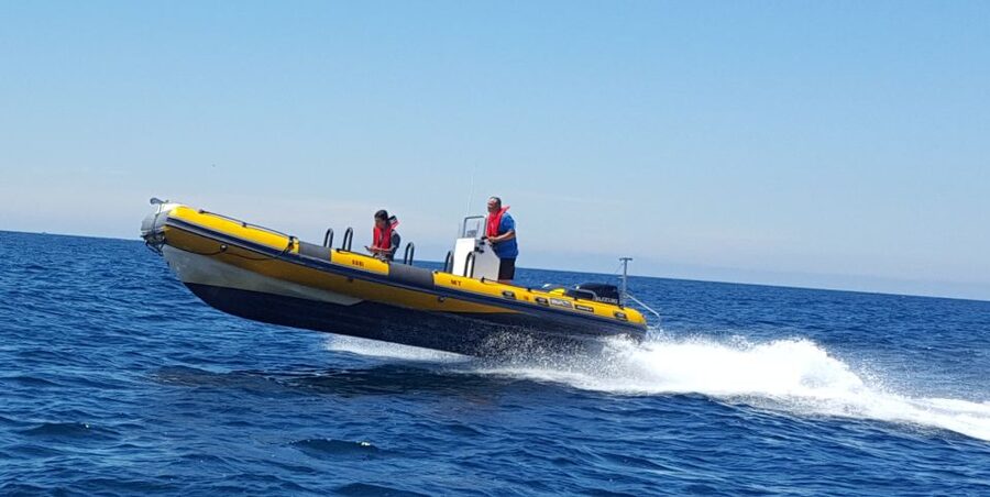 Peniche: Dolphin Route Boat Trip - A realistic look at the two-hour schedule