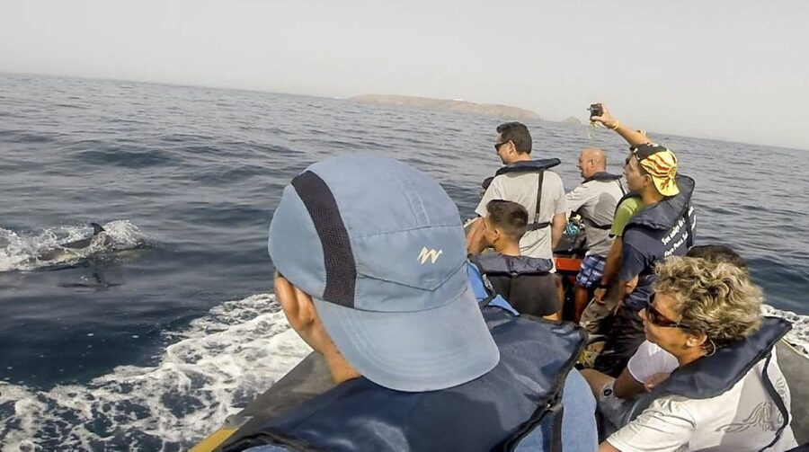 Peniche: Dolphin Route Boat Trip - Comfort, safety, and what to bring