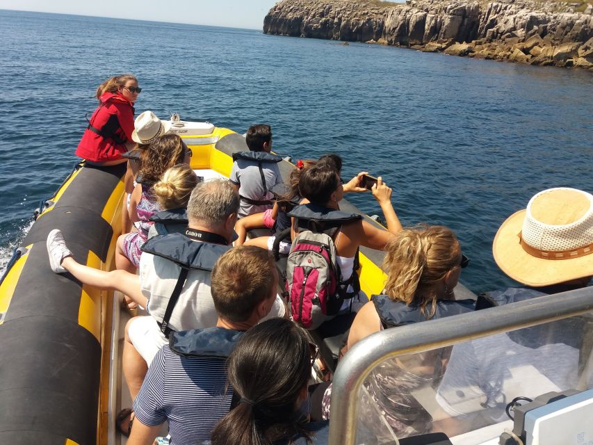 Peniche: Dolphin Route Boat Trip - Who will enjoy this Peniche boat trip?
