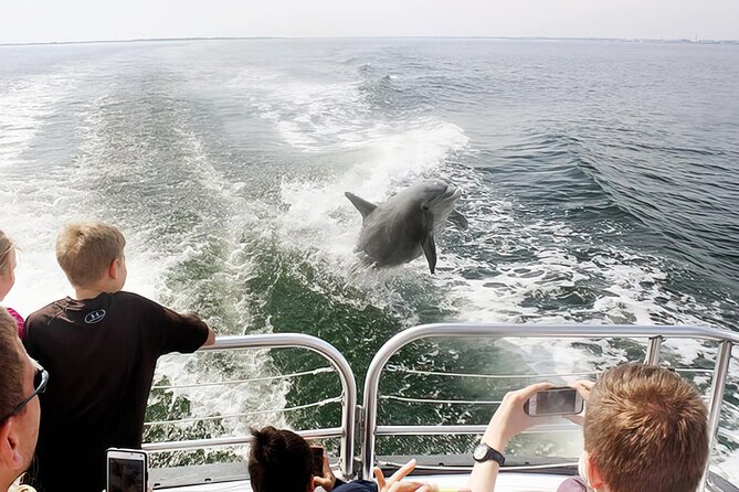 Pensacola Beach Dolphin and Scenic Tour - The crew sets the tone