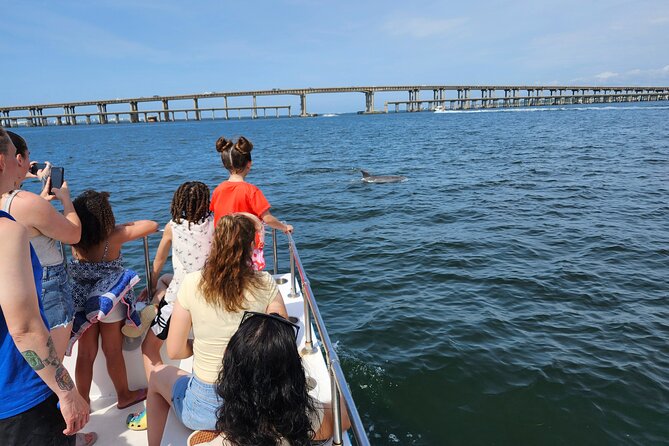 Pensacola Beach Dolphin and Scenic Tour - Timing, comfort, and what to bring