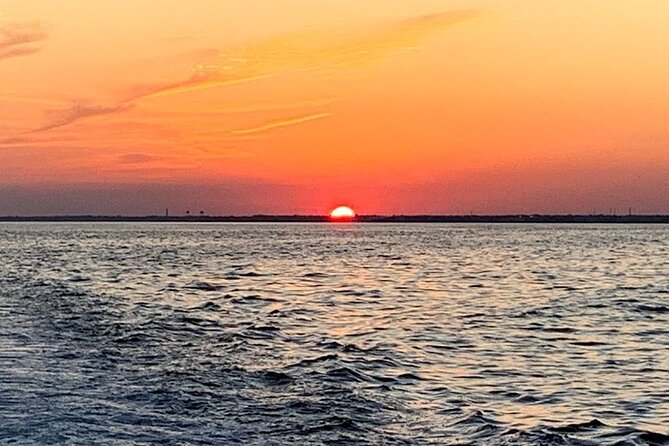 Pensacola Beach Jolly Dolphin Cruise and Scenic Bay Tour - Who will enjoy this cruise most