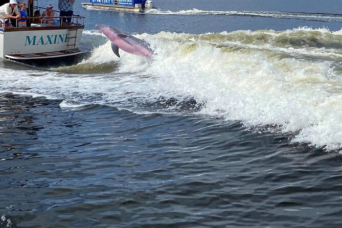 Pensacola Frisky Dolphin Sightseeing Bay Cruise - How the crew shapes the experience