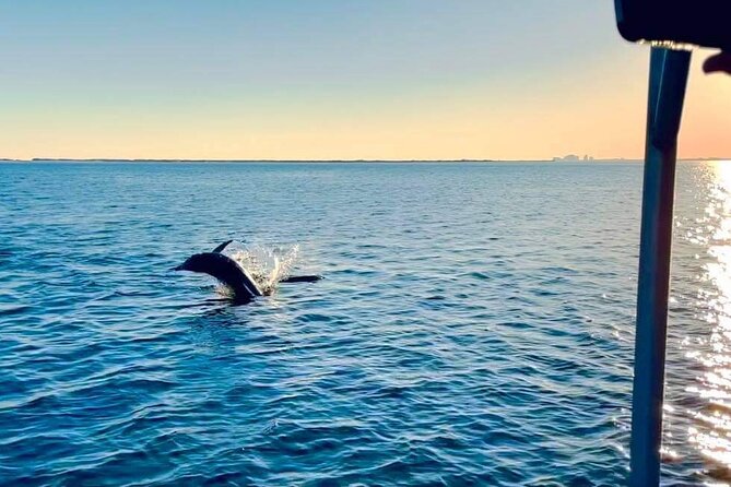 Pensacola Frisky Dolphin Sightseeing Bay Cruise - Searching Pensacola Bay for dolphins
