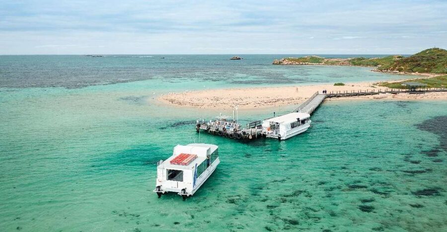 Perth: Dolphin, Sealion & Wildlife Cruise with Lunch - Key points to know before you book
