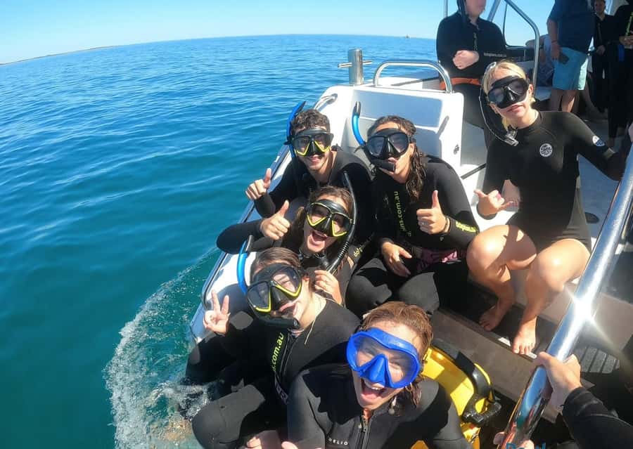 Perth: Swim with Wild Dolphins Tour - A fair system for large groups