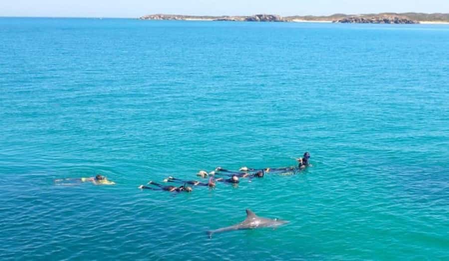 Perth: Swim with Wild Dolphins Tour - What to pack and what to leave behind