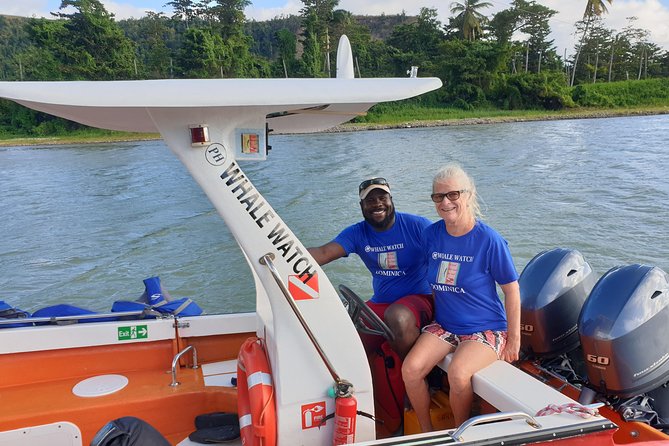PH Whale Watch & Dolphin Cruise in Dominica - Dolphins, pilot whales, and other possible sightings
