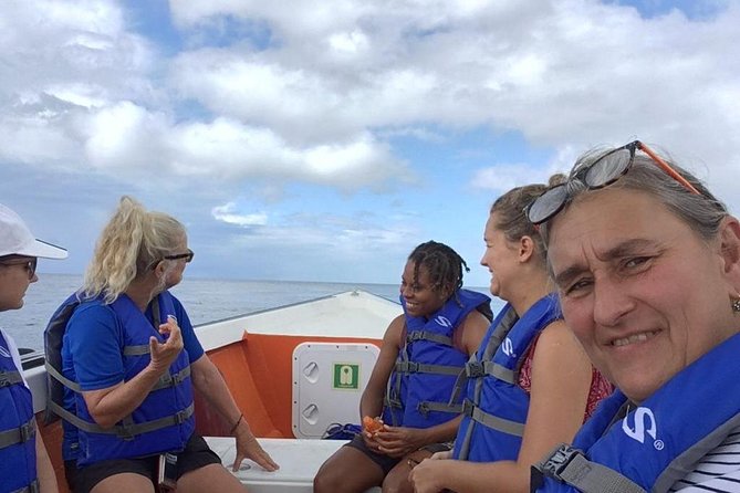 PH Whale Watch & Dolphin Cruise in Dominica - Searching for sperm whales and dolphins