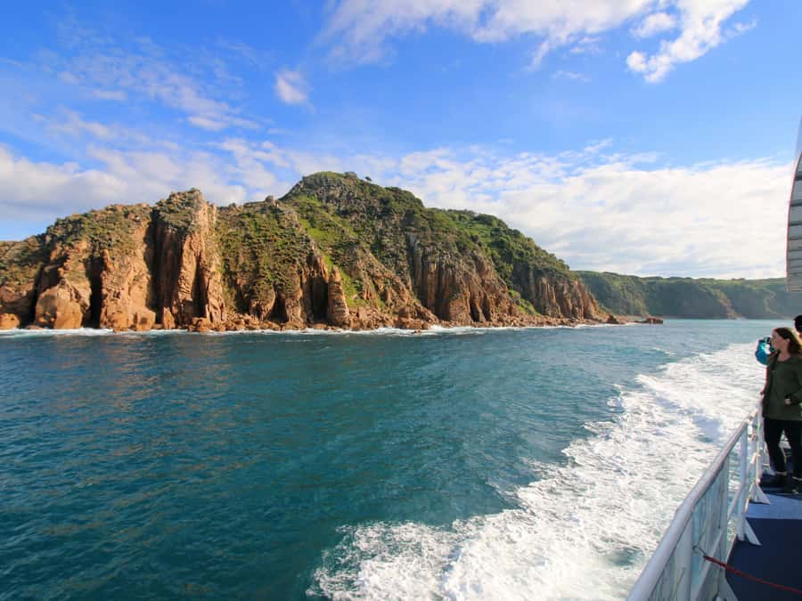 Philip Island: Dolphin and Whale Cruise - Is $95 Good Value?