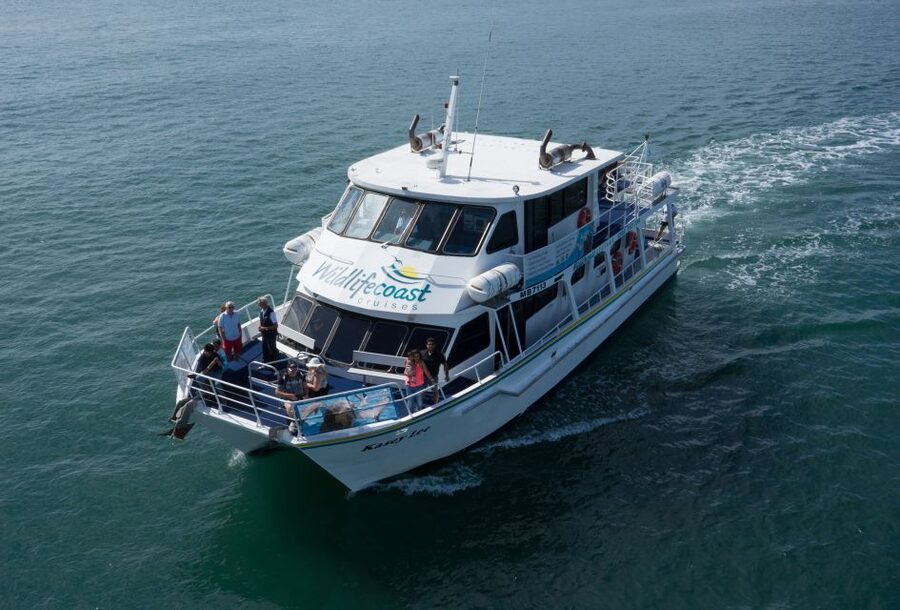 Philip Island: Dolphin and Whale Cruise - Cancellation and Booking Flexibility