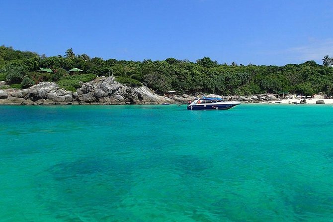 Phuket Dolphin Quest: Racha & Maiton Island Expedition - Guides, group size, and the feel of the day